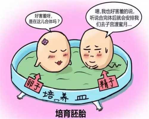 上海助孕流程表，上海试管助孕，上海试管婴儿流程