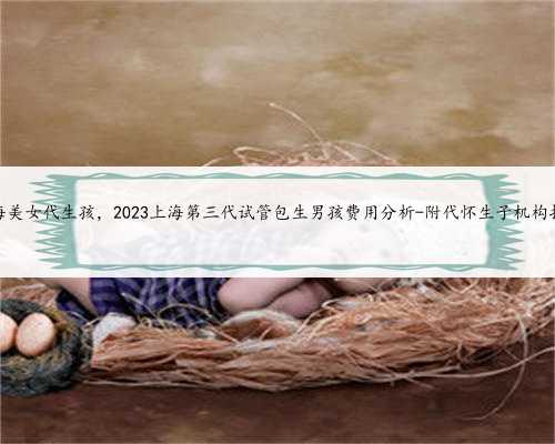 上海美女代生孩，2023上海第三代试管包生男孩费用分析-附代怀生子机构推荐