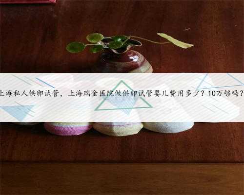 上海私人供卵试管，上海瑞金医院做供卵试管婴儿费用多少？10万够吗？