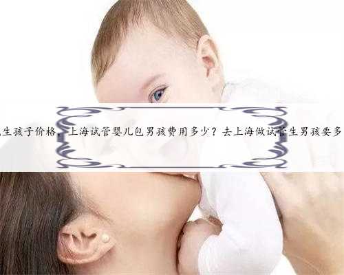 上海代生孩子价格，上海试管婴儿包男孩费用多少？去上海做试管生男孩要多少