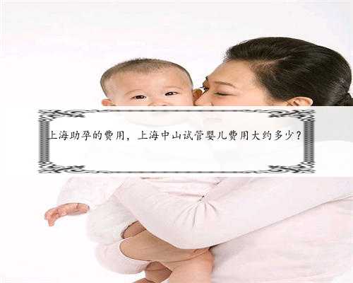 上海助孕的费用，上海中山试管婴儿费用大约多少？