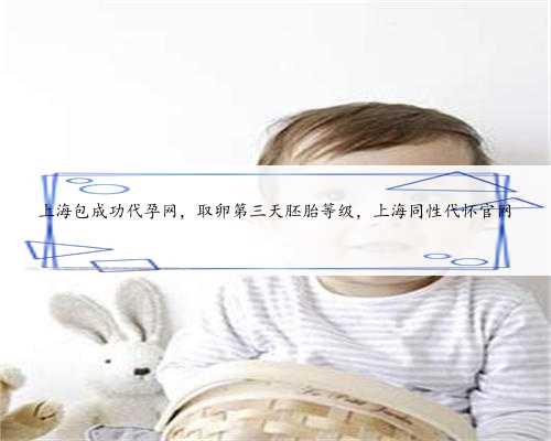 上海包成功代孕网，取卵第三天胚胎等级，上海同性代怀官网