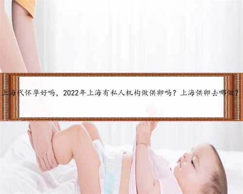 上海代怀孕好吗，2022年上海有私人机构做供卵吗？上海供卵去哪做？