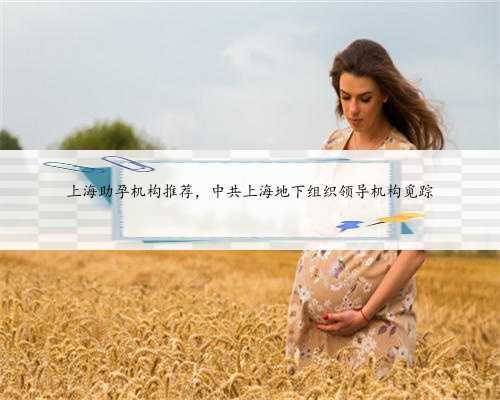 上海助孕机构推荐，中共上海地下组织领导机构觅踪