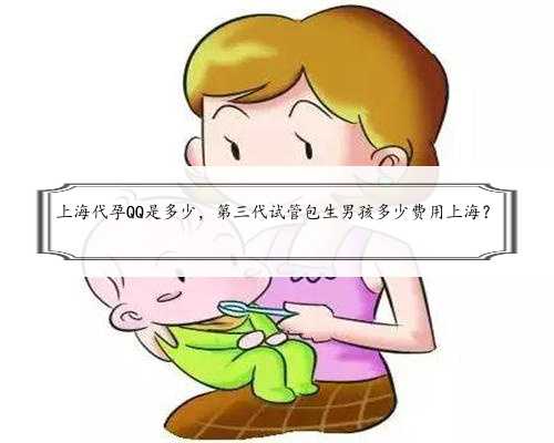 上海代孕QQ是多少，第三代试管包生男孩多少费用上海？