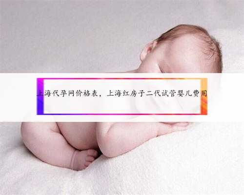 上海代孕网价格表，上海红房子二代试管婴儿费用