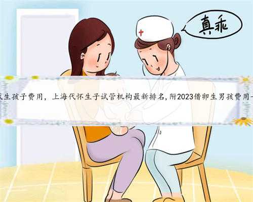 上海代生孩子费用，上海代怀生子试管机构最新排名,附2023借卵生男孩费用一览