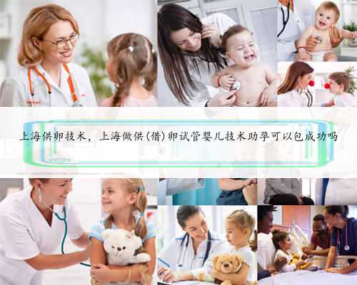 上海供卵技术，上海做供(借)卵试管婴儿技术助孕可以包成功吗