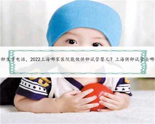 上海借卵生子电话，2022上海哪家医院能做供卵试管婴儿？上海供卵试管去哪家
