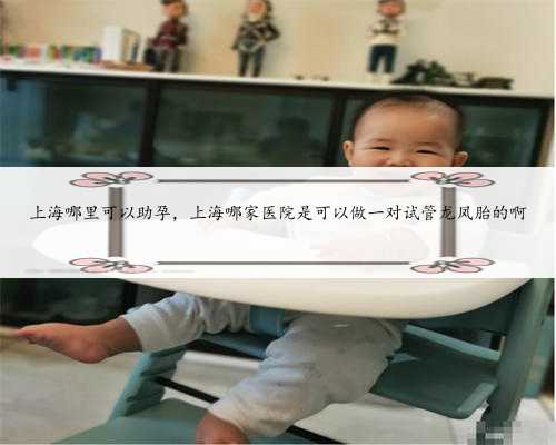 上海哪里可以助孕，上海哪家医院是可以做一对试管龙凤胎的啊