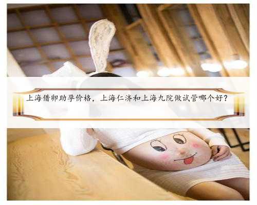 上海借卵助孕价格，上海仁济和上海九院做试管哪个好？