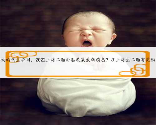 上海大的代生公司，2022上海二胎补贴政策最新消息？在上海生二胎有奖励吗？