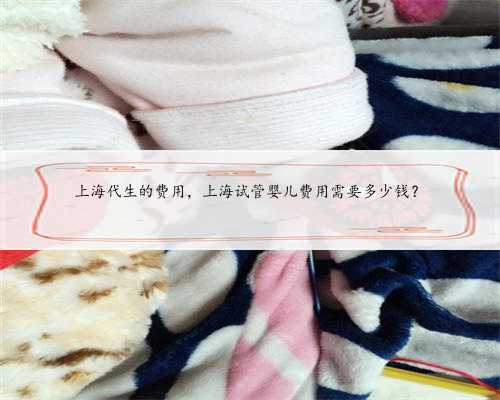 上海代生的费用，上海试管婴儿费用需要多少钱？