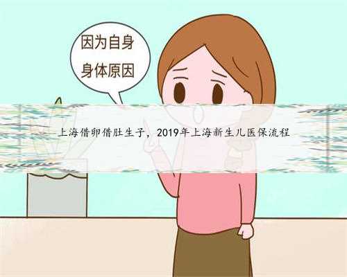 上海借卵借肚生子，2019年上海新生儿医保流程