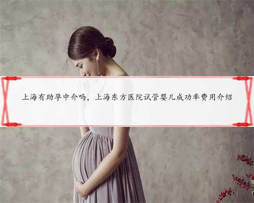 上海有助孕中介吗，上海东方医院试管婴儿成功率费用介绍