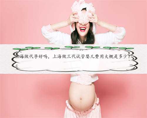 上海做代孕好吗，上海做三代试管婴儿费用大概是多少？