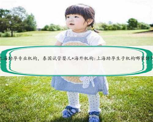 上海助孕专业机构，泰国试管婴儿 海外机构:上海助孕生子机构哪家好？