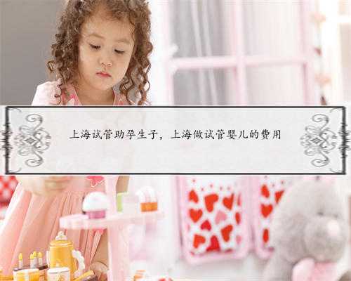 上海试管助孕生子，上海做试管婴儿的费用
