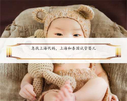急找上海代妈，上海和泰国试管婴儿