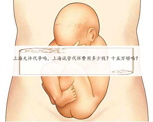 上海允许代孕吗，上海试管代怀费用多少钱？十五万够吗？