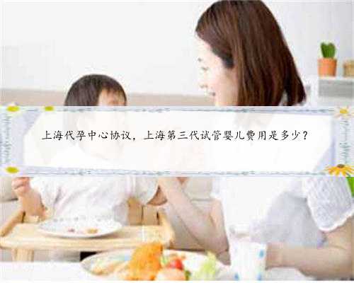 上海代孕中心协议，上海第三代试管婴儿费用是多少？