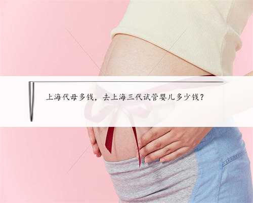 上海代母多钱，去上海三代试管婴儿多少钱？