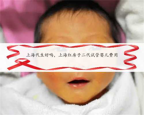 上海代生好吗，上海红房子二代试管婴儿费用