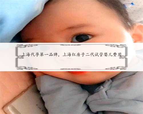上海代孕第一品牌，上海红房子二代试管婴儿费用