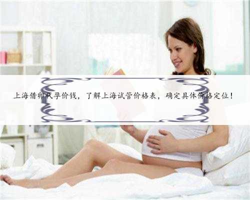 上海借卵代孕价钱，了解上海试管价格表，确定具体价格定位！