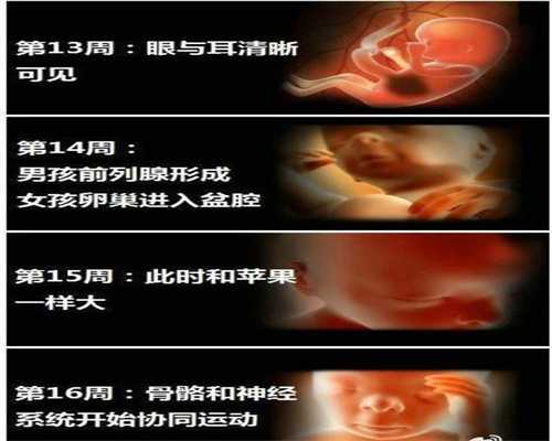 武汉代孕产子多少钱价格,妇科癌症呈明显上升趋