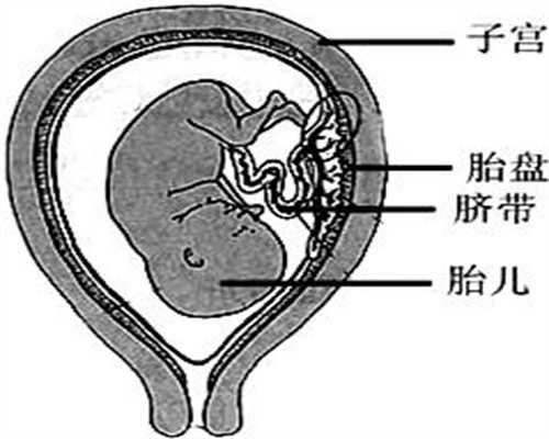 中国哪家武汉代孕公司好,女性患宫外孕病例增多