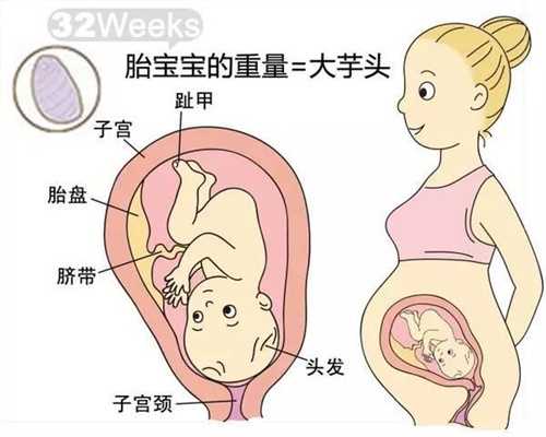 香港孕宝国际,哪里可以借腹生子,不做输卵管造影