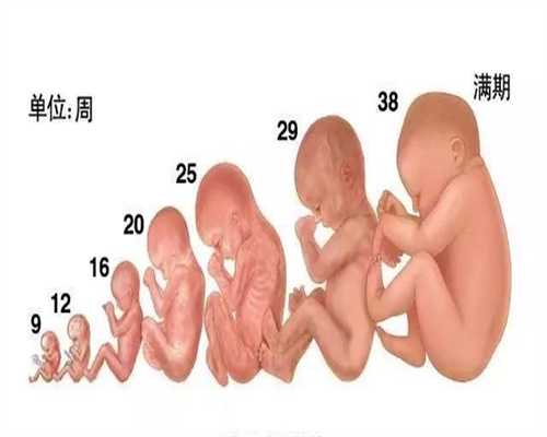 天津国内代孕技术怎么样 ,天津代孕是咋回事十九
