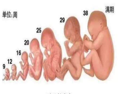 武汉代孕网_武汉代孕费用多少_三个月北京代孕妇