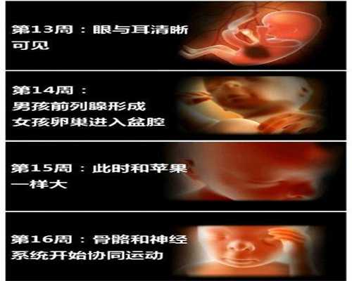 全国有哪些代孕机构 -代孕哪里做好-孕晚期肚子