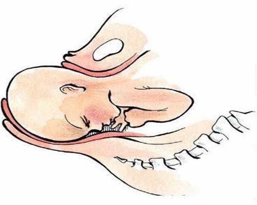 代孕是多少合适-中国国内代孕机构-孕妇梦到来月