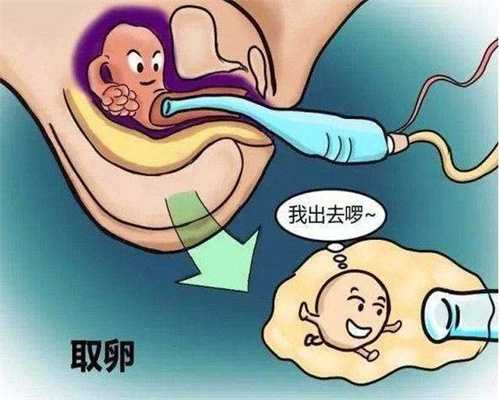 武汉代孕-武汉正规代孕机构-武汉最大的代孕机构