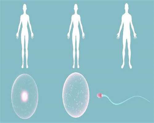 宫腹腔镜治疗输卵管狭窄几率多少-借卵子生子成功率高吗代孕能喝枇杷花茶吗