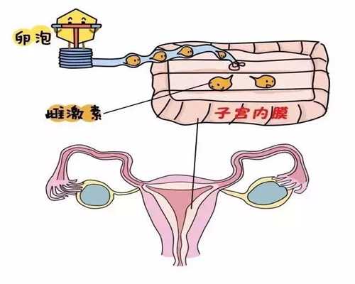 武汉代孕-武汉地下代孕市场-武汉为何禁止商业代孕