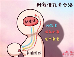 上海有供卵的人医院给做吗，年轻夫妇盼男宝宝,第三代试管婴儿取得成功筑梦