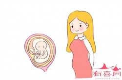 上海供卵机构，宫外孕后多久可以尝试泰国试管婴儿?