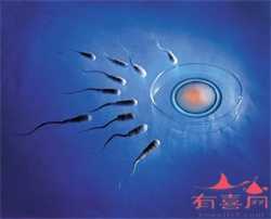 有上海供卵吗~上海医院做供卵试管~，怎么样帮孩子克服夜间惊恐