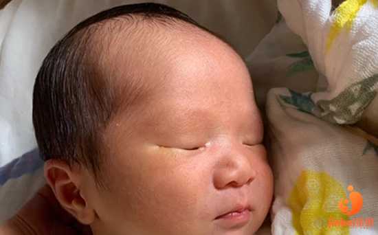河北供卵不用等的医院,河北省沧州中西医结合医院可以做供卵试管婴儿吗？成