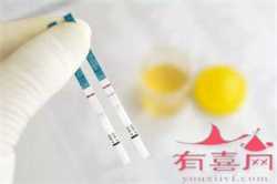上海做试管借卵子，现在上海做试管婴儿要多少钱？