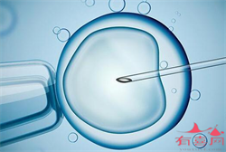 上海咨询供卵机构,2023上海正规靠谱的三甲供卵机构有哪些？