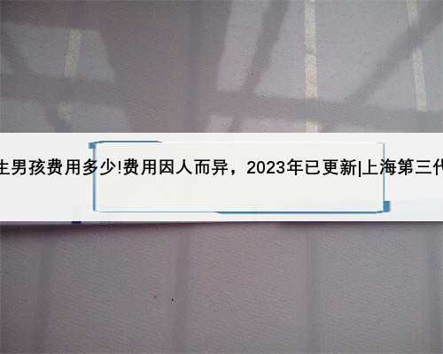 上海第三代试管包生男孩费用多少!费用因人而异，2023年已更新|上海第三代试管